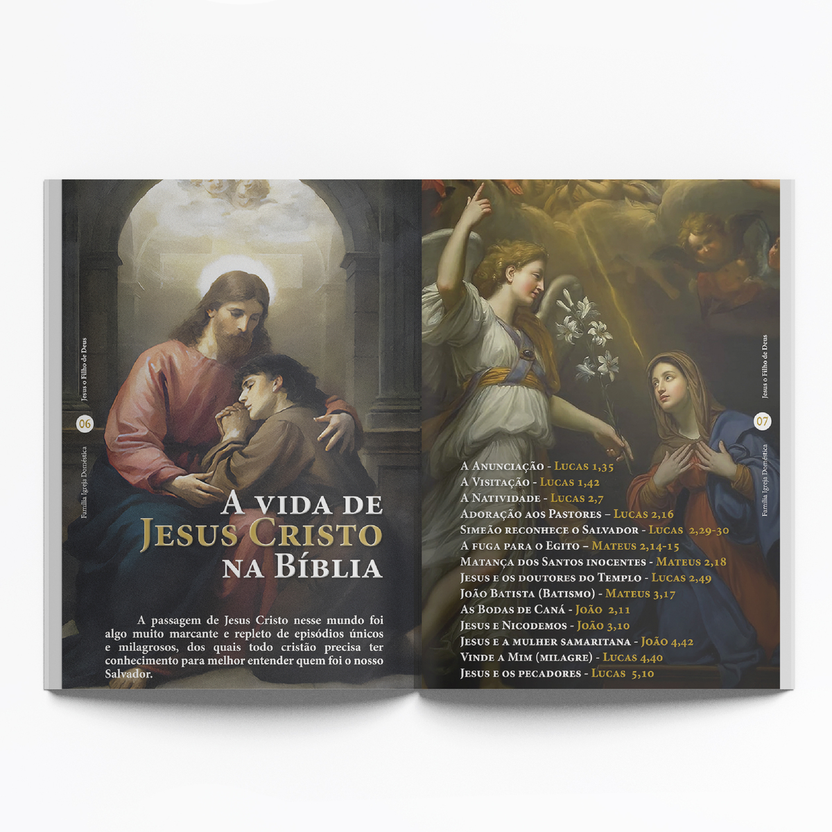 Livro Famlia Igreja Domstica 30 Edio