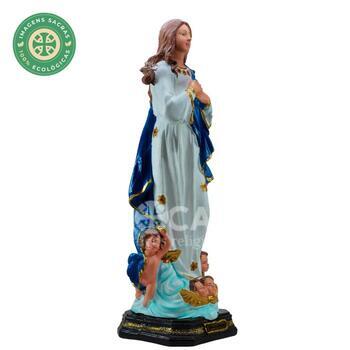 Imagem Imaculada Concei��o de 60 Cm Inquebr�vel 