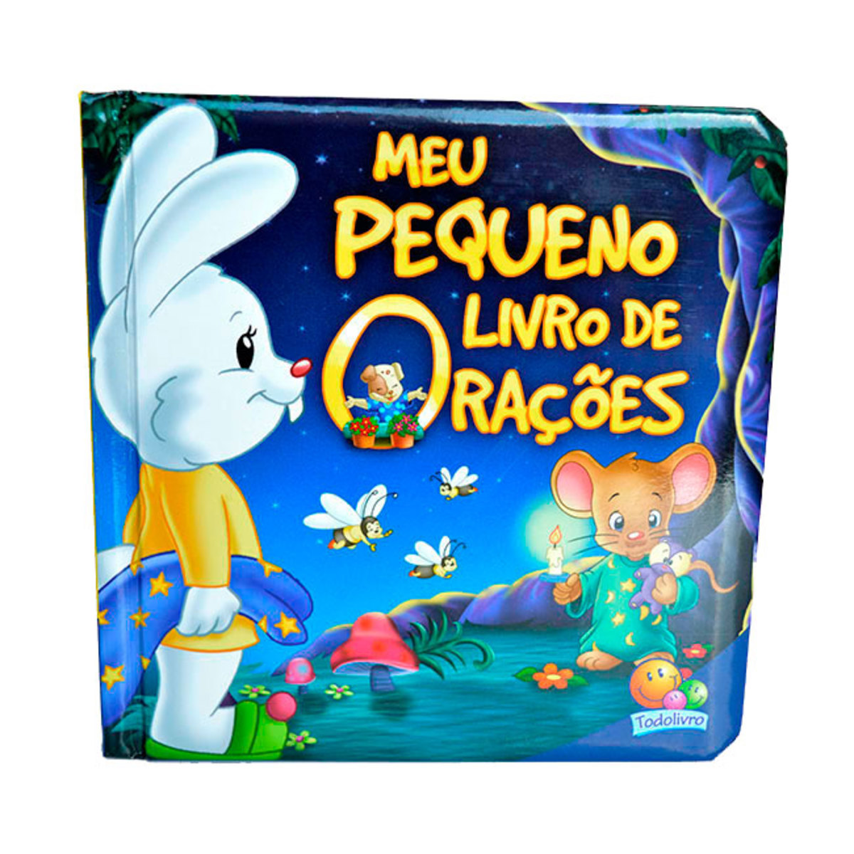 Dia a Dia com Deus-Meu Pequeno Livro de Oraes